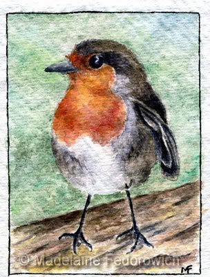 Red Robin ACEO
