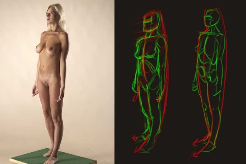 Anatomystudy182.jpg