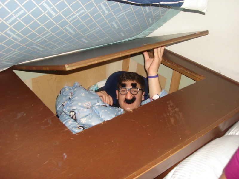 hiding in hole Pictures, Images and
Photos