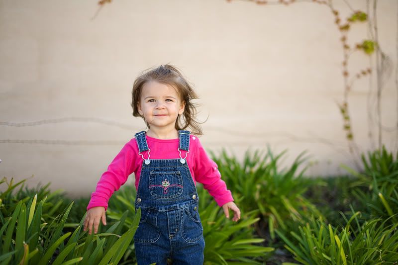 IMAGE: http://i88.photobucket.com/albums/k188/wernersl/Sigma%2050mm/IMG_0016_web.jpg