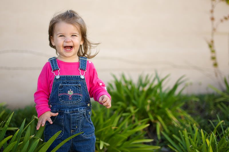 IMAGE: http://i88.photobucket.com/albums/k188/wernersl/Sigma%2050mm/IMG_0018_1_web.jpg