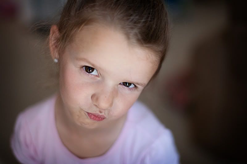 IMAGE: http://i88.photobucket.com/albums/k188/wernersl/Sigma%2050mm/IMG_9888_web.jpg