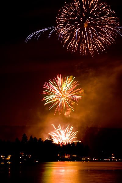 IMAGE: http://i88.photobucket.com/albums/k188/wernersl/fireworks%202008/shot5.jpg