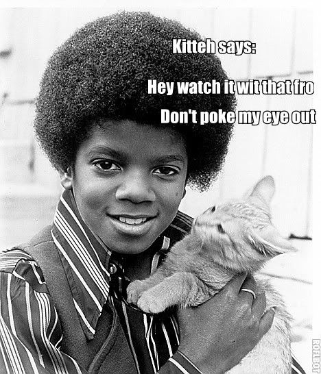 kittehfro.jpg