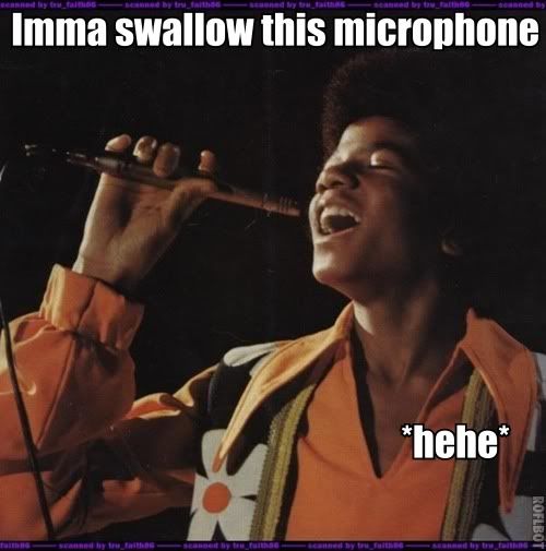 swallowmicrophone.jpg
