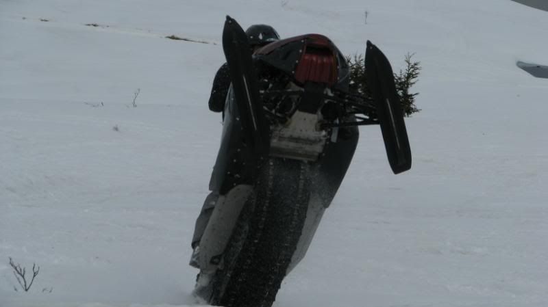 springriding011-1.jpg