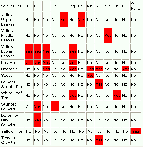 ScreenHunter_04Jul.gif