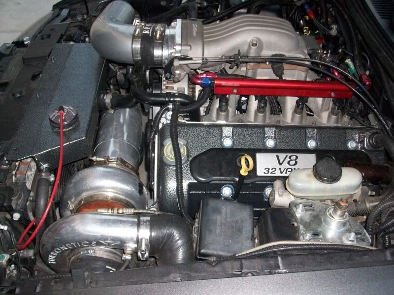 [Image: 100_0429.jpg]