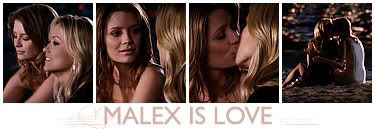 bar5.jpg Malex is love image by kkissingtoastt