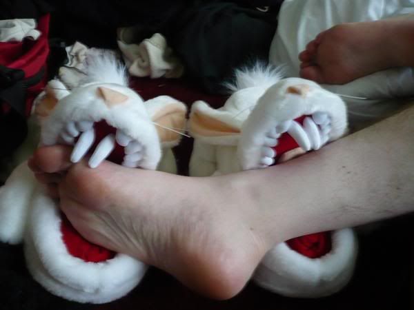  photo bunnyattack.jpg