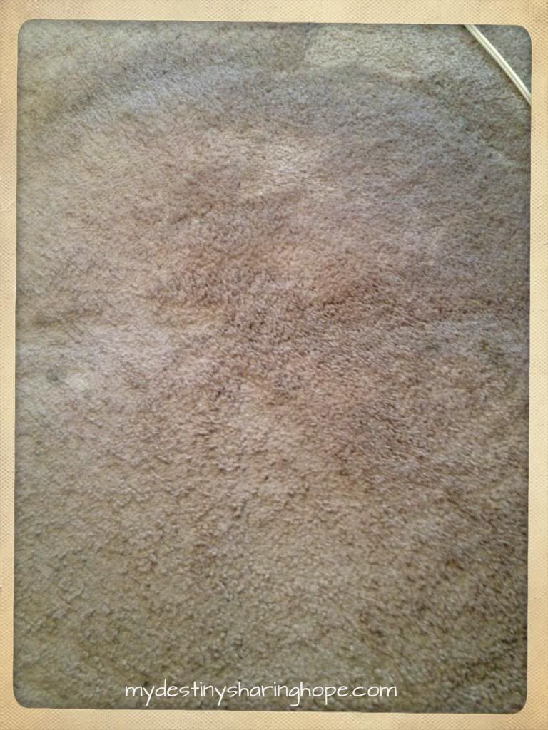 carpet5