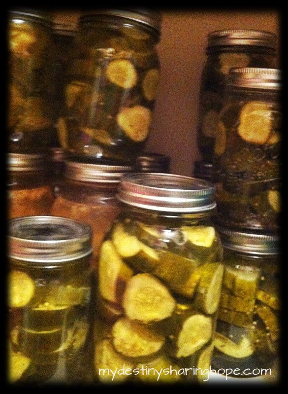 pickles2012