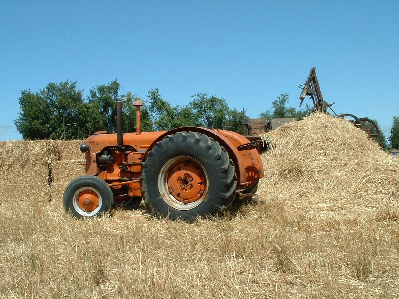 Tractors003.jpg