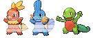 The squirtle fanclub!