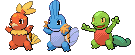 The squirtle fanclub!