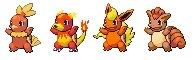 The Fire Pokemons Fan Club!