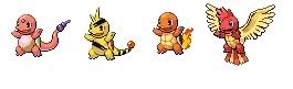 [PokeCommunity.com] The squirtle fanclub!
