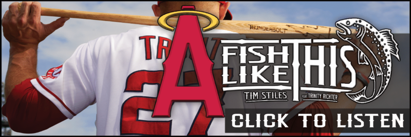  photo AFishLikeThisAngelsWinBannerAd_zps5oi05747.png