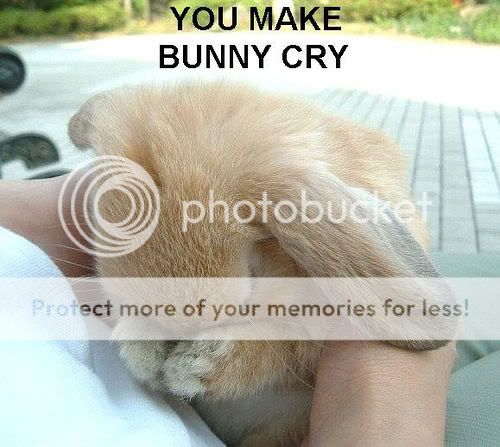 bunny.jpg