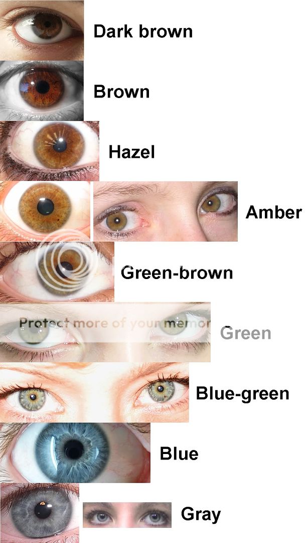 Refined eye color poll - Stormfront